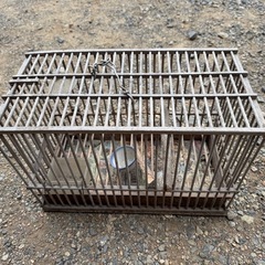 鳥かご 竹かごの画像