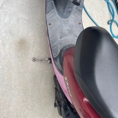 ライブディオ車体の画像