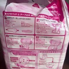 介護用おむつ　テープ止めS（男女兼用　ヒップ57～87㎝）　22枚入×3袋の画像