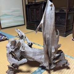 アクアリウム　流木の画像