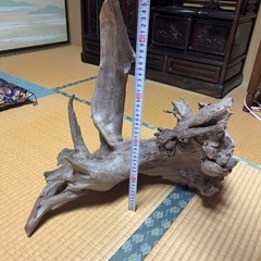 アクアリウム　流木の画像