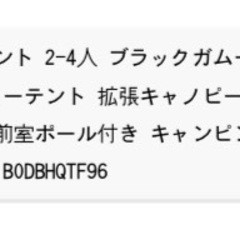 TOMONT ワンタッチテント　2-4人用　中古品(2回6日間使用)の画像