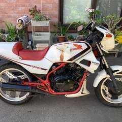 ホンダVT250F
の画像