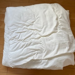 ニトリ掛け布団　式パットの画像