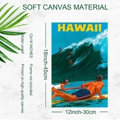 ビッグウェーブライディング、メタルプレートの画像