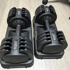 可変式ダンベル RIORESの画像