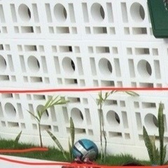 【無料】サンスベリアとヤシ？
の画像