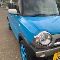 スズキ　ハスラーの画像