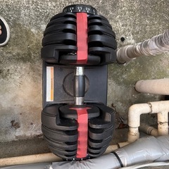だんべるダンベルの画像