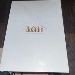 BoSidin 家庭用脱毛器 精確脱毛 全身脱毛 無痛光脱毛器 グリーンの画像
