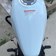 ⭐︎希少⭐︎美品⭐︎レブル250 パールメタロイドホワイトの画像