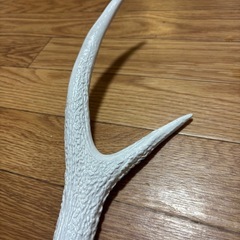 鹿の角　白塗装してますの画像