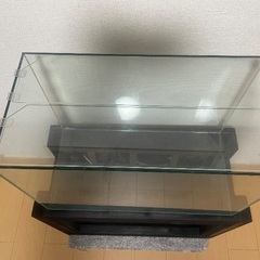 水槽(60x30x40センチ)と自作スタンドの画像
