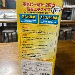 パタン虫の画像