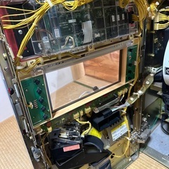 【希少】オス番長　の画像