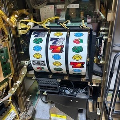 【希少】オス番長　の画像