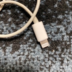 iPhone純正イヤホン ライトニングの画像
