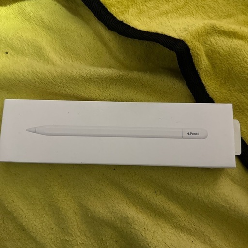 その他 Applepencil