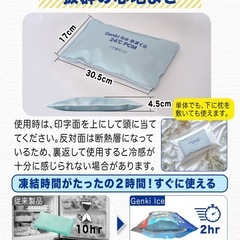 【75%off】新品未開封　 氷まくら　2時間冷凍　アイスノン　水枕　氷枕の画像