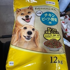 ドックフードの画像