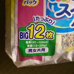 水泳オムツ　BIG 24枚の画像