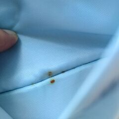 子供カバン　Sanrio　キキララポーチの画像