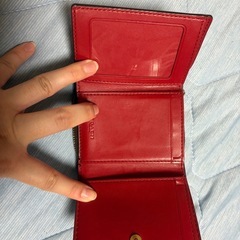 coachミニ財布の画像