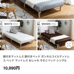 セミシングルショートの画像