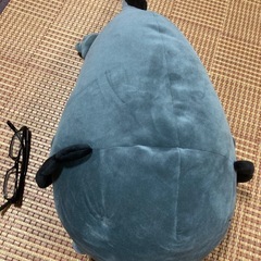 両生類の画像