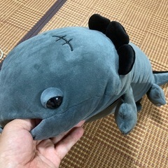 両生類の画像
