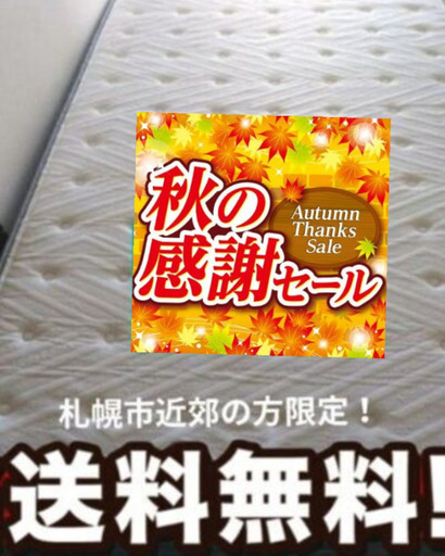 札幌市近郊の方限定！送料無料！ニトリ Nスリープ ハード H1-02 セミダブル 札幌市近郊の方限定！送料無料！ニトリ Nスリープ ハード H1-02