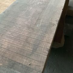 イチョウの木　原木　一枚板の画像