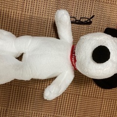 SNOOPY
の画像