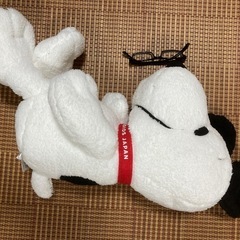 SNOOPY
の画像