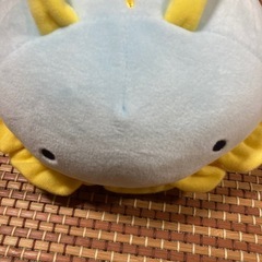 獣と海洋生物の画像