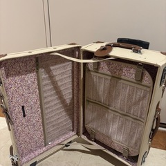 キャリーケース　
MERCURYDUOの画像