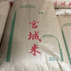 令和7年新米🌾根白石産🌾ひとめぼれ玄米30kgの画像