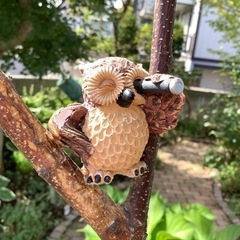 天然素材　ナチュラル　鉢カバー　プランターカバー　木製 枝　フクロウの画像