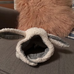 犬用帽子の画像