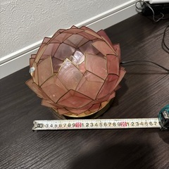 ハスの花のようなライトの画像
