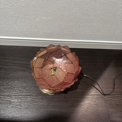 ハスの花のようなライトの画像
