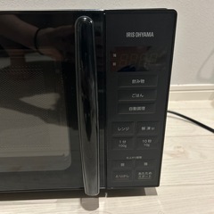 電子レンジ 500wの画像