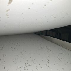 吉野石膏 タイガージプトーンライト 9.5mm厚 910x910mm 4枚入の画像