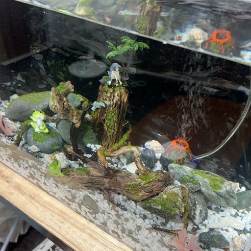観賞魚用水槽＋台＋観賞魚