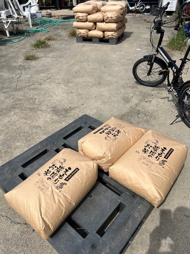 R5年産30kの玄米です。
古古米ですが冷蔵庫保管でした。
