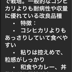 豊コシヒカリ　新米　玄米　NO1の画像