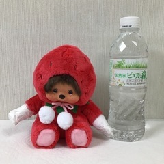 【地域限定】ご当地モンチッチ　福岡　あまおういちご　Sサイズ　タグ付きの画像