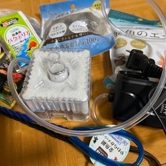 初心者向け金魚飼育セットの画像