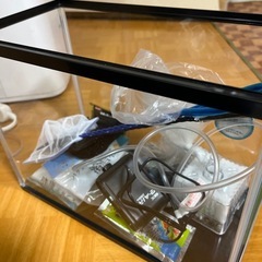 初心者向け金魚飼育セットの画像