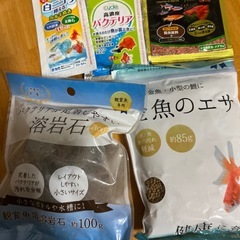 初心者向け金魚飼育セットの画像